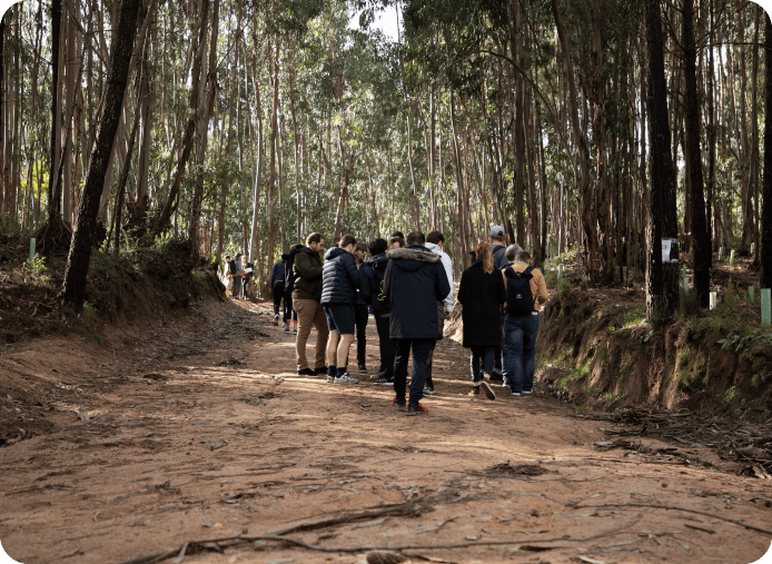 Groupe de personnes marchant dans la forêt